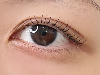 リタアイ(Lita. eye)/まつ毛パーマ上