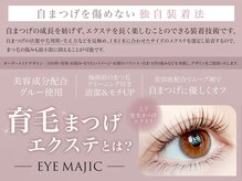 アイマジックピュア 仙台駅前店(EYE MAJIC pure)/育毛まつげエクステとは？