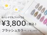 【ハンドネイル】フラッシュカラー
