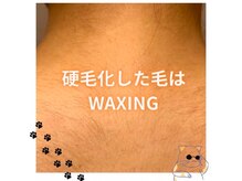 グルーミー(gloomy)/硬毛化した毛はWAX脱毛にお任せ!