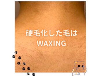 グルーミー(gloomy)/硬毛化した毛はWAX脱毛にお任せ!
