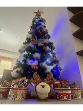 エステ de AAC 所沢/当院もクリスマス