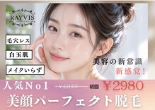 エステティック レイビス 銀座店(RAYVIS)