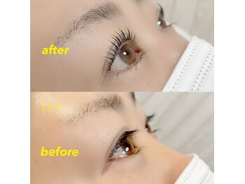 ウォーターリリー(water lily)