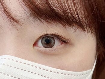 シピー(chipie by anon)/SAORI◆まつ毛パーマ