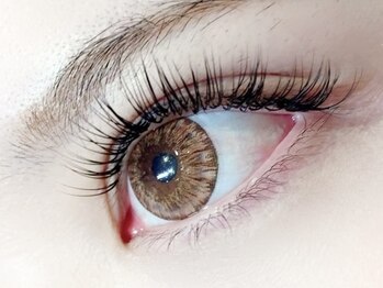 シエル(Ciel)/フラットラッシュ160本×所沢