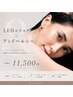 【アンドヘルシー】フラットラッシュ100本 +まつげパーマ ¥11500 束感仕上げ