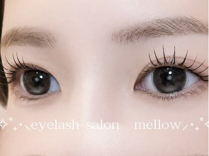メロウ(mellow)の写真