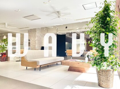 ウェイビイ 藤沢(WAVY)の写真
