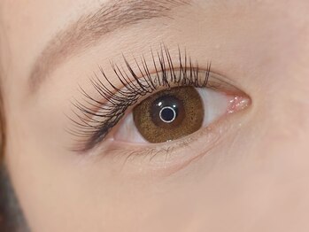 シャッツ(SCHATZ)/フラットラッシュ