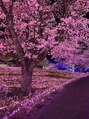 メンテ(Mente)&nbsp;お花とイルミネーションも大好きです♪年1は必ず行きます♪