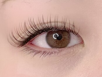 カミエユニ(Kamie-uni-)/フラットラッシュ120本