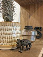 スプラウト(sprout)/