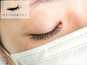 ウィンクルム(VINCULUM)/フラットラッシュ140本/セーブル