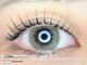 モストアイズ 町田(most eyes)の写真/束感/韓国風/ナチュラル等、似合わせまつげパーマ¥4900★”高技術＆丁寧なカウンセリング”でリピート率◎