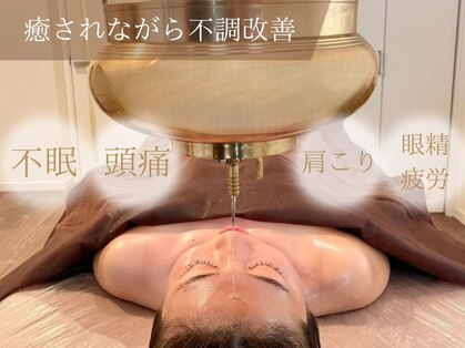 ハルシャ(HARSA)の写真