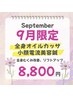 【癒しと小顔】9月限定★全身カッサ・小顔美容鍼(電気付き)¥16,500→¥8,800