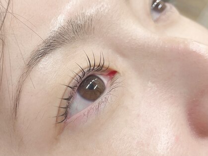 セレビアイ 青葉台店の写真