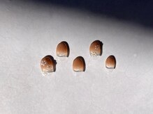 エイム 目黒店(Aim)/2412-C1