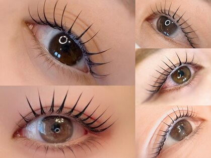 リッコ(ricco)の写真