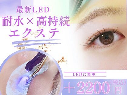 サニーラッシュ(32Lash)の写真
