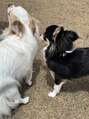 ニュイ 春日部(nuit)&nbsp;休日は愛犬と過ごします！愛犬といけるお勧め教えてください＾＾