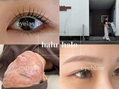 ハル ハロ(halu halo)の写真