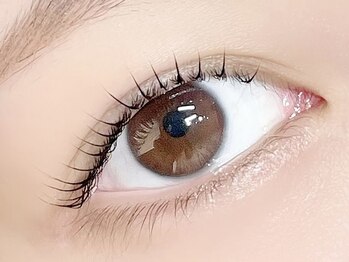 エクリュ アイラッシュ(ecru eyelash)/くるりんまつげ/L3リフト