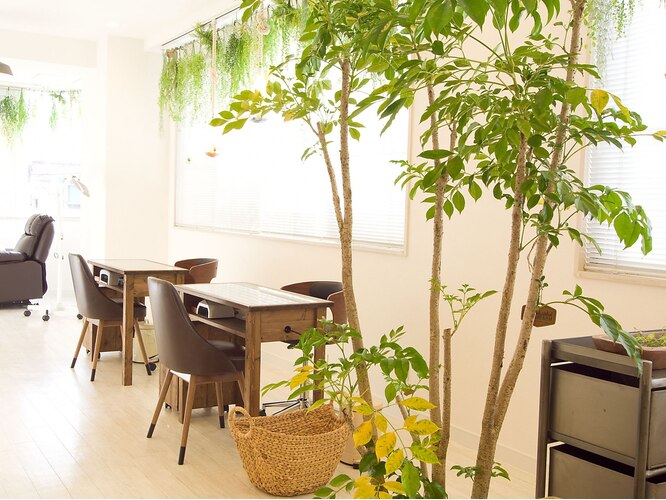 Laguna Salon