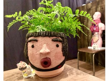 風香堂/頭に生えました！