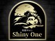 シャイニーワン 横浜(Shiny One)の写真