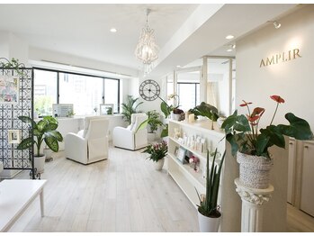 アンプリール 名古屋店(AMPLIR)/サロン内