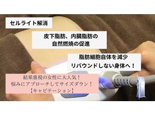 ビューティーマックス エースタジオ(Beauty MAX Astudio)の雰囲気（キャビテーションで凸凹脂肪撲滅！！）