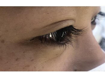 ジョリー(Jolie)/