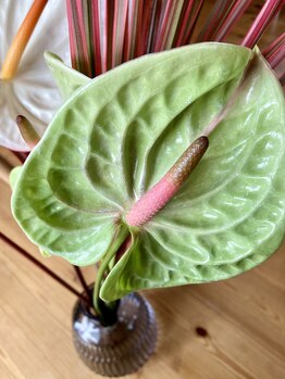 わたなべ整体院/