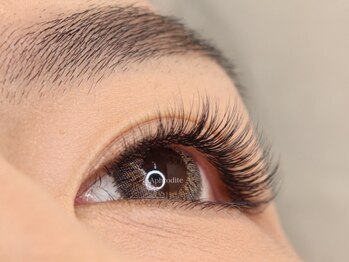 アフロデイーテ(Aphrodite)/Single Lash