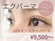 フルーブラン(Frubran)の写真