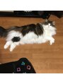 ヒミツキチ 恵比寿店(himitsukichi)&nbsp;猫にコントローラーは効かない