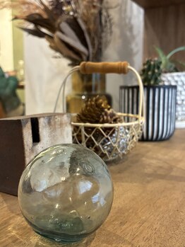 スプラウト(sprout)/