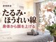 小顔専門サロン ラリューシュ(La ruche)の写真