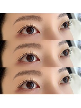 フォルマ(FORMA)/フラットラッシュ120本☆