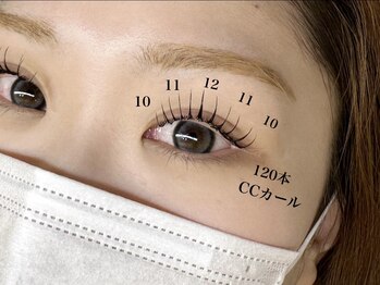 ダブリュービー(WB)/パリエク120本