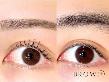 ブロウタス 川崎店(BROW+)/まつ毛パーマ