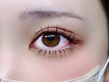 コル アイラッシュ マルヤマ(col eyelash maruyama)/flat lash 上下【勢藤】