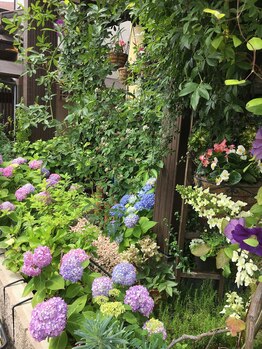 みもざ治療院/
