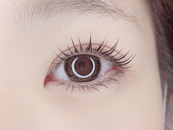 ソファー 国分寺(sofa)/パリジェンヌラッシュリフト