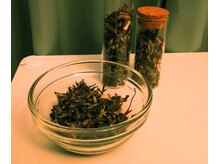 よもぎ天国 四谷店の雰囲気（農薬不使用の安全なよもぎを使用しています）