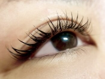 エスーガ(ESUGA)/