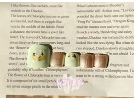 シェルアートネイル☆