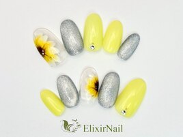 定額aシンプル/クーポン使用